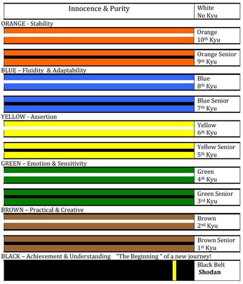 Kids Karate Belt Grading Form | Trifu Dojo