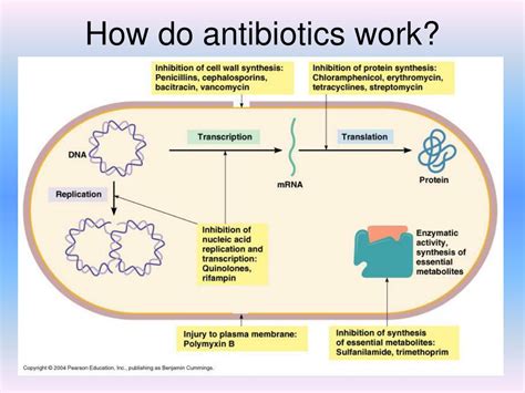 4 quinolones antibiotics