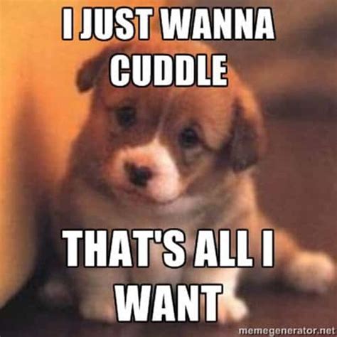 25 Cutest Cuddle Memes - SayingImages.com