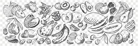 Hand drawn fruits doodle set 23883596 Vector Art at Vecteezy