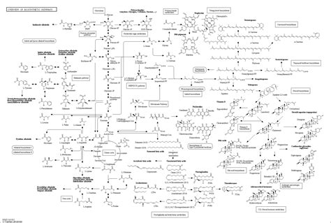 KEGG PATHWAY: Overview of Biosynthetic Pathways and Complement System ...