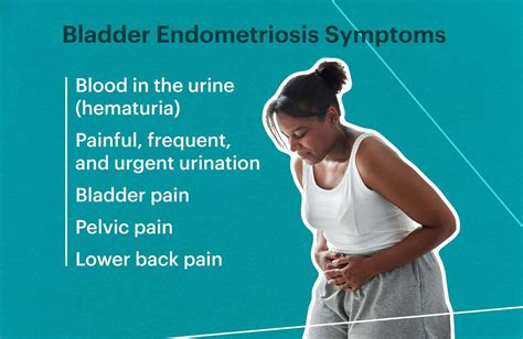 Bladder Pain 10 Causes Of Bladder Pain