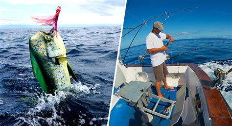 Deep Sea Fishing Tips By Experts | DOTOLI Group Guide