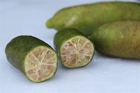 Finger Limes - Gourmantic