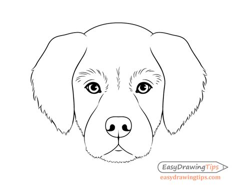 How to Draw a Realistic Puppy Face - Hutter Whimeldreved