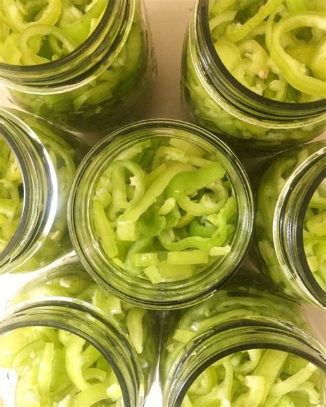 Pickled Hungarian Wax Peppers — Kneehigh Farm | Wax pepper recipe, Hot ...