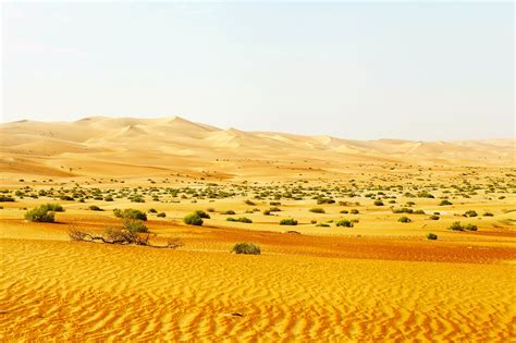 Liwa oasis, Abu Dhabi