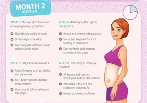 Pregnancy Month by Month: Guide to Your First Month