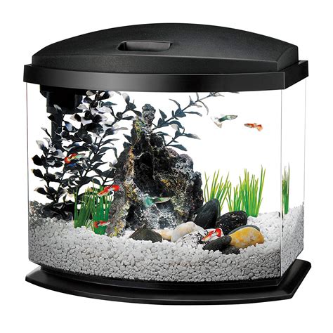 This Is How Many Fish You Can Fit In A 5-Gallon Tank – Your Fish Guide