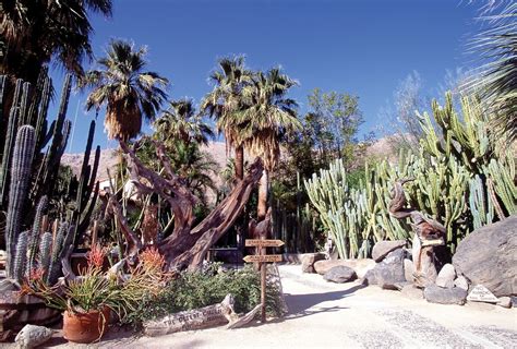 Hidden Treasures: 13 places you must see in Palm Springs | Palm springs ...