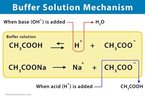 Buffer Solution: Definition, Examples, and Preparation