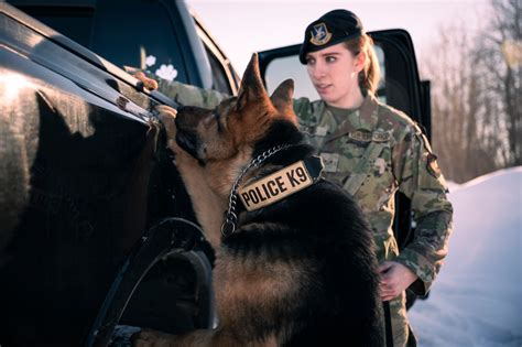 DVIDS - Images - National K9 Veterans Day [Image 1 of 4]