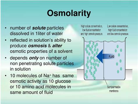 PPT - Fluid & Electrolyte Balance PowerPoint Presentation, free ...