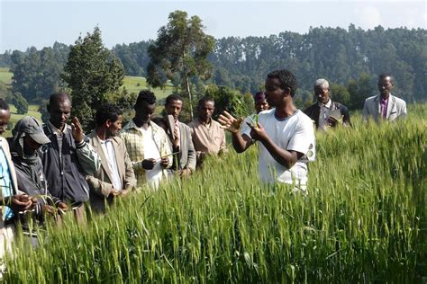 Building agriculture in Ethiopia