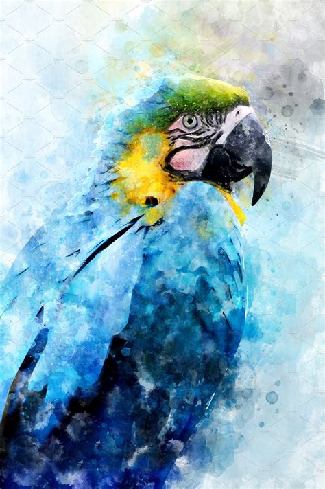 Parrot - watercolor illustration por | Parrots art, Macaw art ...