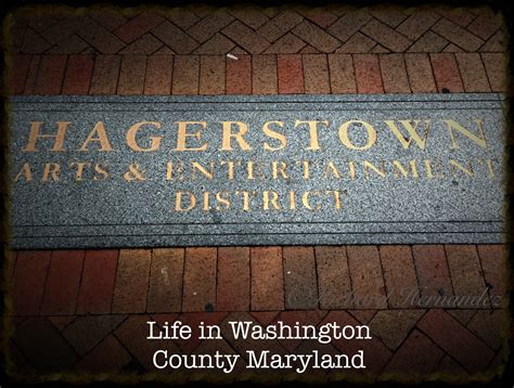 A.Y.C.E. Seafood Buffet in Hagerstown MD - Hamlets Scroll of Washington ...