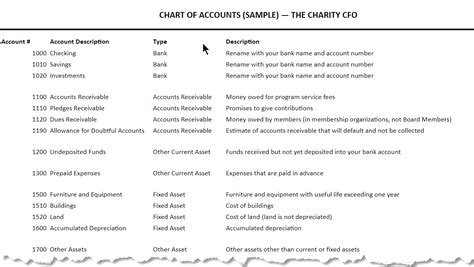 Nonprofit Chart Of Accounts Template