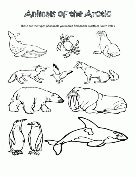 Free Coloring Pages Of Arctic Animals - Clip Art Library | Arctic ...