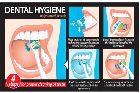 Different Methods and Steps – Proper Tooth Brushing Techniques