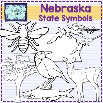 Nebraska state symbols clipart by Teacher's Clipart | TpT