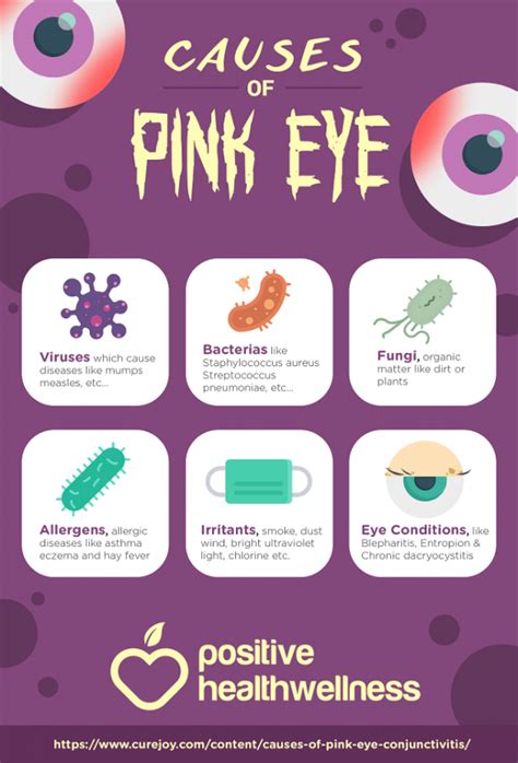 6 Causes Of Pink Eye (Conjunctivitis) - Infographic