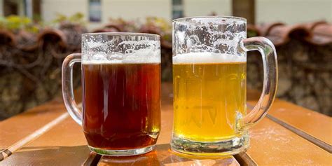 Easy Guide: What's the Difference Between Lager and Beer?