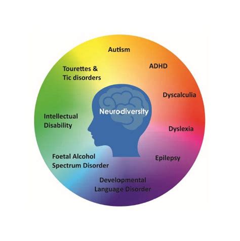 What is Neurodivergent?. The idea of neurodiversity acknowledges… | by ...