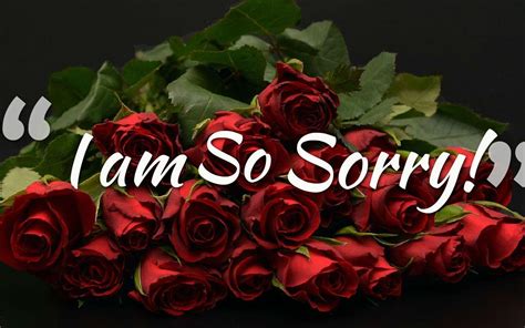 I Am Sorry Wallpapers HD - Wallpaper Cave