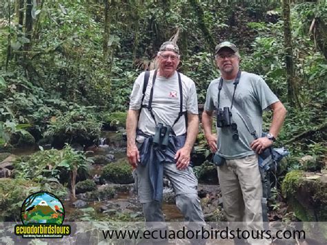 About Us | Birding Ecuador | Birding tours Ecuador | Quito tours