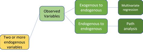 Structural Equation Modeling (SEM)