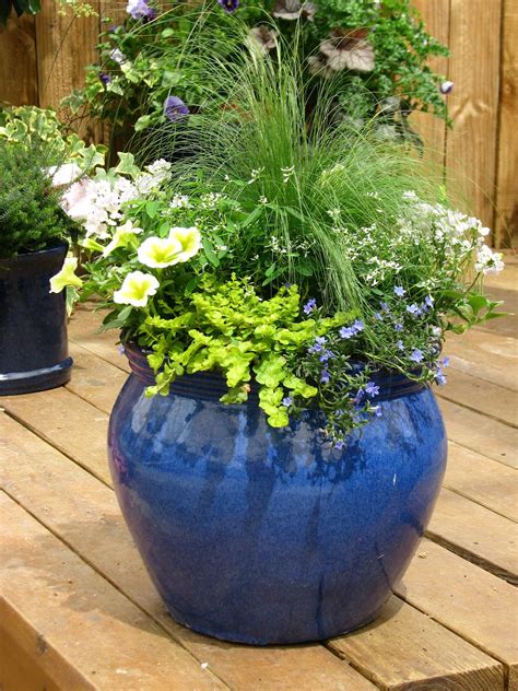 YardZooks: Container Gardening Planting Tips