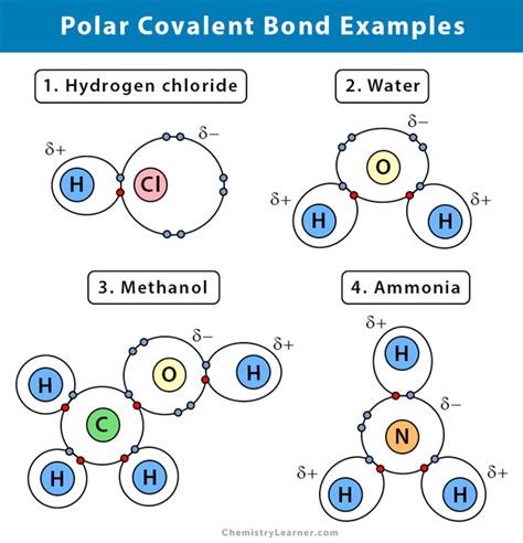 Hydrogen Bond Examples List