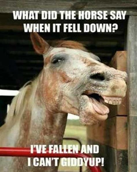 Horse Puns | 17 Funny Horse Memes That'll Make You Neigh