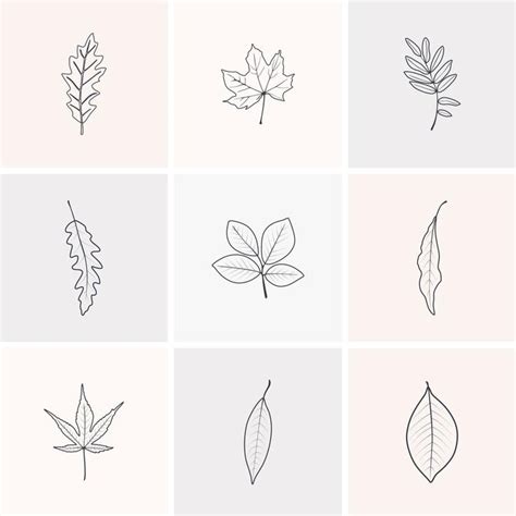 Collection of autumn leaves line art | Creative tattoos, Autumn tattoo ...