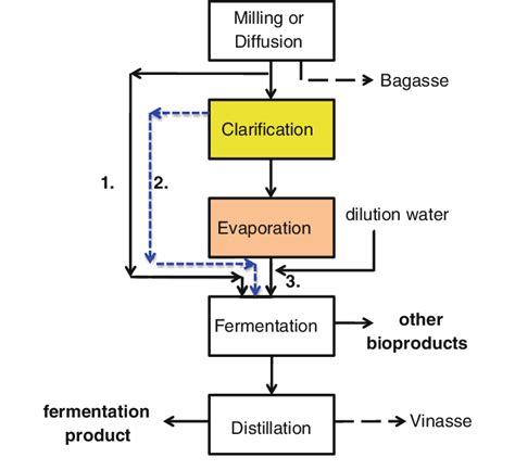 Process flow diagram showing the multiple pathways for fermentation of ...