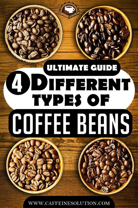 The Ultimate Guide to The 4 Different Types of Coffee Beans | Types of ...