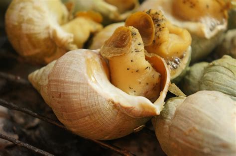 Free Images : food, produce, invertebrate, clam, escargot, sea snail ...