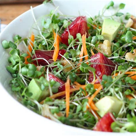 10 Best Microgreens Recipes | Yummly