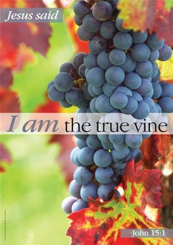 I Am: The Vine Poster