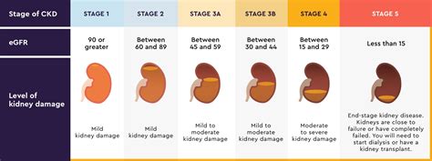 Chronic Kidney Disease Stages