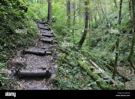 Black Forest hiking trail through the Wutachschlucht, Germany Stock ...