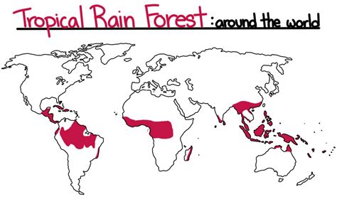 Biomes: Tropical - Expii