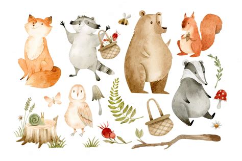 Cute Woodland And Forest Animals - Woodland Forest Animals Clipart ...