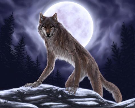 🔥 [74+] Werewolf Wallpapers | WallpaperSafari