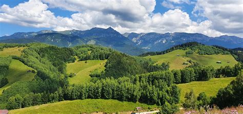 Notes from the field - Carpathia, Romania - August 2022 - Journeys With ...