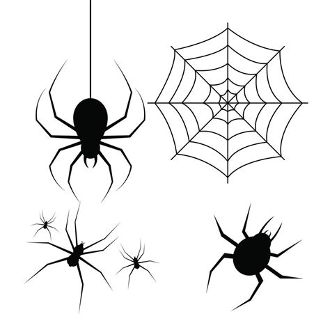 Spider vector design illustration isolated on white background 1844016 ...