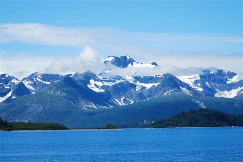 Glacier Bay National Park Visitors Drive Wildlife Away