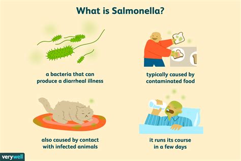 What Are The Symptoms Of Salmonella Poisoning In Dogs