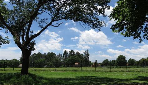 A SUSTAINABLE FUTURE: BENONI BUNNY PARK