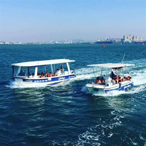 Durban: 1-Hour Boat Cruise from Wilson's Wharf | GetYourGuide